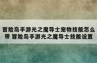 冒险岛手游光之魔导士宠物技能怎么带 冒险岛手游光之魔导士技能设置